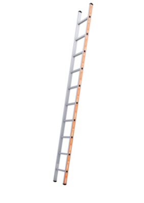 Chelle 10 M Castoramanull