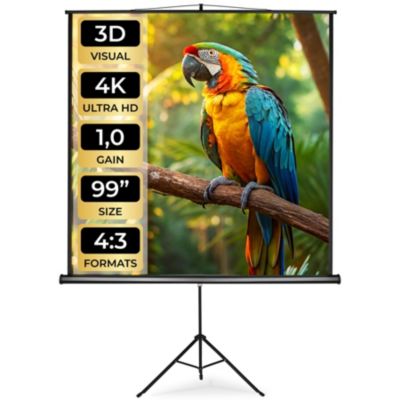 Écran de projection extensible blanc