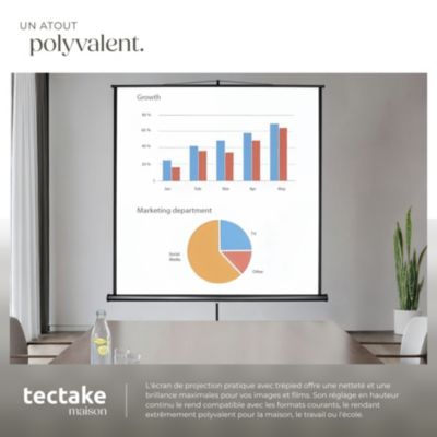 Écran de projection extensible blanc