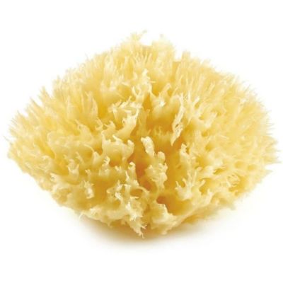 Éponge de mer Honeycomb THERMOBABY - Éponge naturelle jaune douce et absorbante