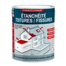 Étanchéité toiture, imperméabilisation, résine, peinture d'étanchéité-2.5 litres-Blanc-PRO COM