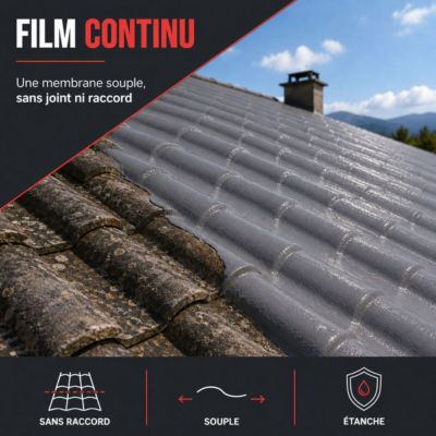 Étanchéité Toiture, Résine d'étanchéité colorée : ARCAFILM Tuile - 0.75 L - ARCANE INDUSTRIES