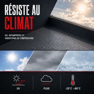 Étanchéité Toiture, Résine d'étanchéité colorée : ARCAFILM Tuile - 0.75 L - ARCANE INDUSTRIES