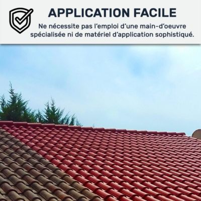 Étanchéité Toiture, Résine d'étanchéité colorée : ARCAFILM Tuile - 0.75 L - ARCANE INDUSTRIES