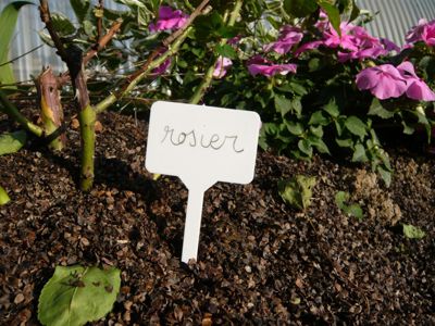 Étiquette Marquage à Planter (x12) - Vilmorin | Castorama