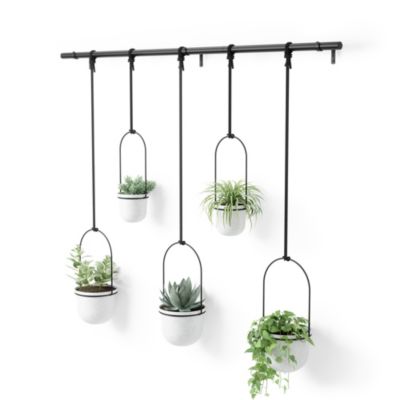 Jardinière