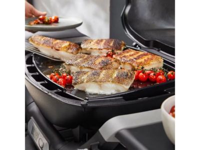 Plancha pour barbecue q - vue 2