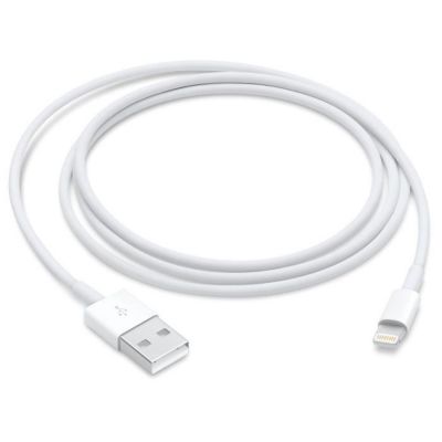 Apple Câble Lightning vers USB - 1 m Blanc - vue 5