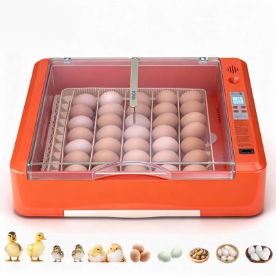 VEVOR Couveuse Œuf Automatique Incubateur 36 Œufs pour Éclosion Œufs Poussins - vue 10