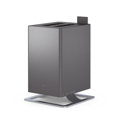 Humidificateur ultrasonique Anton titanium 25m²