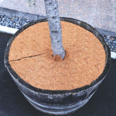 1 disque de paillis de noix de coco 45 cm tapis en fibre de coco Aquagart