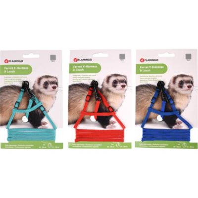 1 Harnais Y pour Furet et Rat avec laisse de 1 mètre couleur aléatoire