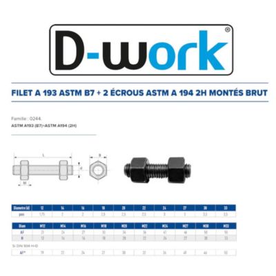 10 Filets et 2 Ecrous Montés D. 16 x 200 mm - ASTM A193 et ASTM A194 - Brut - D-Work
