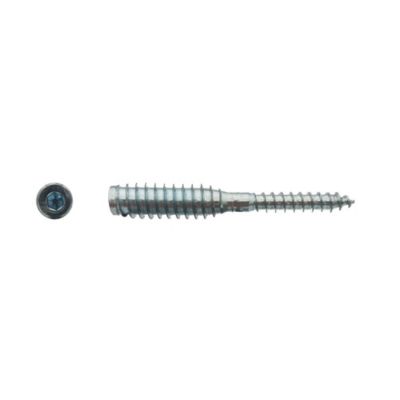 100 Vis Bois de Réglage de Châssis Adjust 6 x 80 mm Zone de Blocage 33 ...