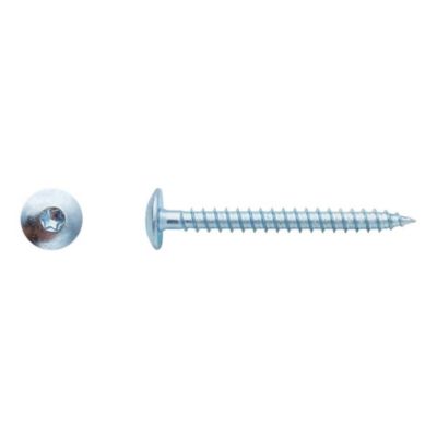 100 Vis Bois pour Penture Torx 7 x 50 mm - Zingué blanc - D-Work
