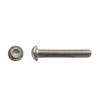 100 Vis Métaux Tête Bombée 6 Pans Creux BHC 8 x 10 mm - 7380-1 - Inox A2 - D-Work