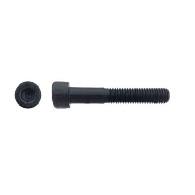 100 Vis Métaux Tête Cylindrique 6 Pans Creux CHC F/Total 10 x 16 mm - DIN 912 - 12.9 - Brut - D-Work