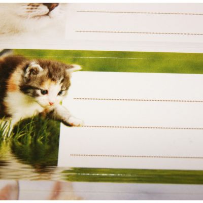 12 étiquettes adhésives scolaires - Rectangle - Photos Chatons