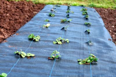 140 m² tissu de sol, film anti-mauvaises herbes, 100 g, 1 m de large, noir Aquagart