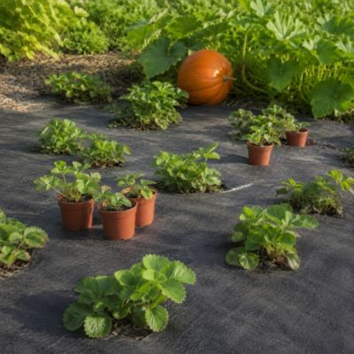 140 m² tissu de sol, film anti-mauvaises herbes, 100 g, 1 m de large, noir Aquagart