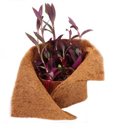 14m tapis de coco natte de protection hivernale fibre de coco 800g/m² 0.5m Aquagart