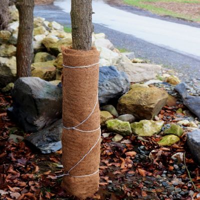 14m tapis de coco natte de protection hivernale fibre de coco 800g/m² 0.5m Aquagart