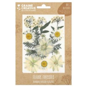 15 fleurs pressées - prairie blanche