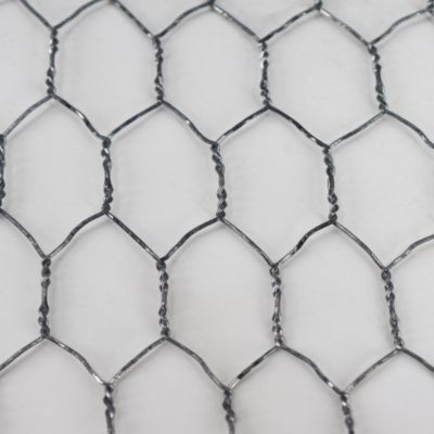 160 m grillage à maille hexagonale, grillage de poulailler, 50 cm 25mm x 25mm Aquagart
