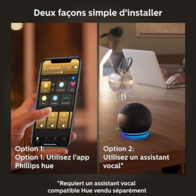 2 ampoules connecté Philips Hue variable E27 GU10 350lm IP20 blanc chaud ou froid