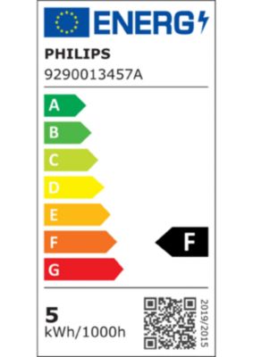 2 ampoules LED sphériques E27 470lm = 40W Ø4,5cm blanc chaud Philips