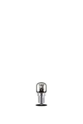 2 ampoules LED tube four incandescent 15W E14 1T22 Philips