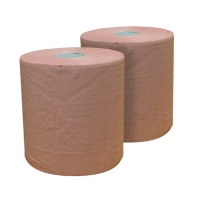 2 Bobines Chamois de 1000 Feuilles Certification Ecolabel 100% papier recycle 2 epaisseurs