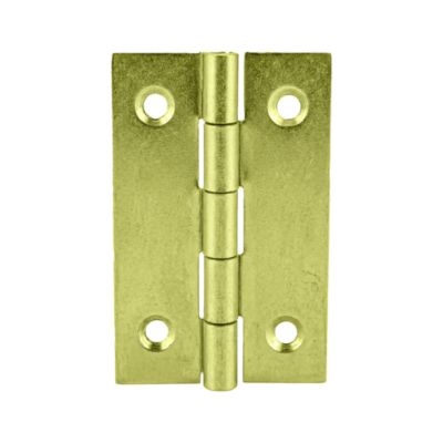 2 charnières acier laitonné Diall 40 x 25 mm