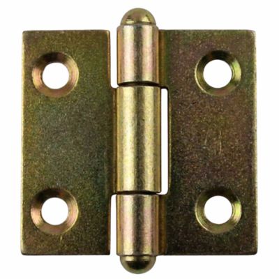 2 charnières démontables acier bichromaté Diall 50 x 50 mm
