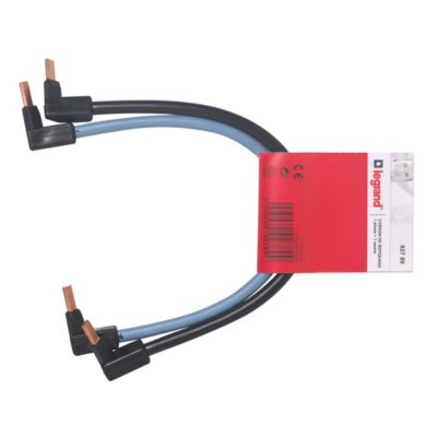 2 cordons de repiquage Ph+ N Legrand