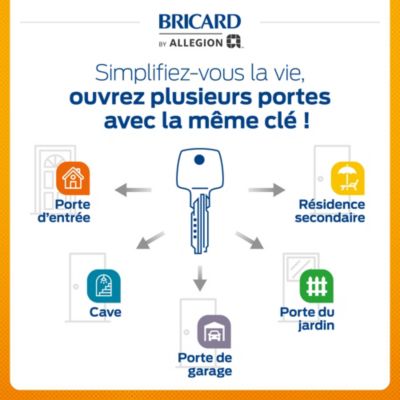 2 Cylindres débrayables Bricard 30x50/30x10 mm avec 6 clés