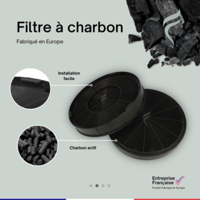 2 Filtres à Charbon Hotte Electrolux EFF76