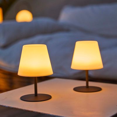 2 lampes à poser en aluminium gris anthracite 1,2W 110 lm IP54 H.16 cm Lumisky Twins