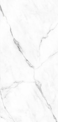 2 Panneaux muraux de salle de bains effet marbre de Carrare blanc brillant, l.100 x H.210 cm, Schulte Décodesign Brio