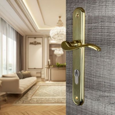 2 poignées de porte AGATHE trou de cylindre, Laiton poli entraxe 195 mm