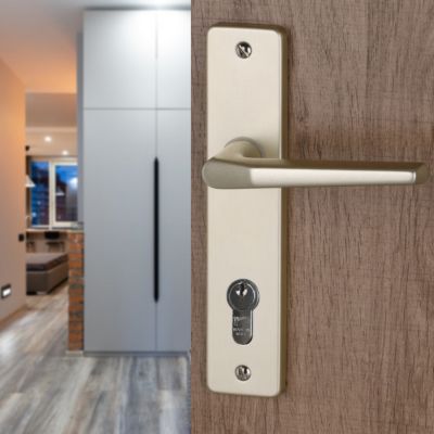 2 poignées de porte CHAMONIX trou de cylindre, Aluminium F2 entraxe 165 mm