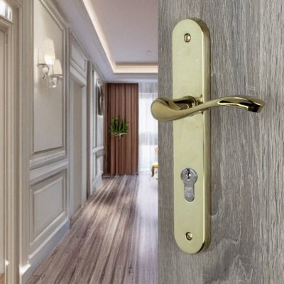 2 poignées de porte LAURA trou de cylindre, Laiton doré poli titane entraxe 195 mm