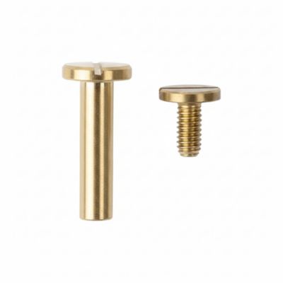 2 vis relieurs laiton Diall M4 Ø10 x L.40 mm