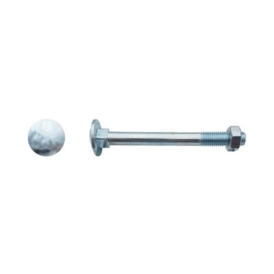 200 Boulons Tête Ronde Collet Carré TRCC 7 x 30 mm - DIN 603 - Zingué blanc - D-Work