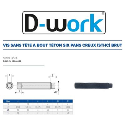 200 Vis Sans Tête 6 Pans Creux à Bout Téton STHC 10 x 12 mm - DIN 915 - 45H - Brut - D-Work