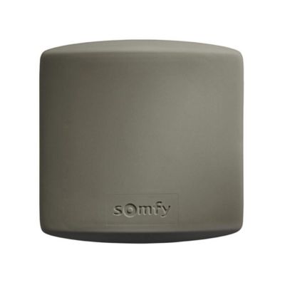 Somfy Récepteur technologie Io 1841229 pour portails et garages