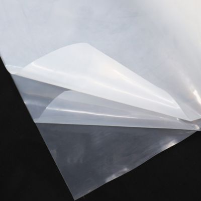 24 m film de jardin, film de serre, UV 5 film de couche froide, 6 m de large Aquagart