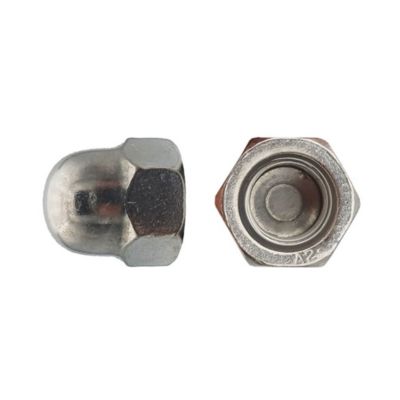 25 Ecrous Borgnes M20 mm - DIN 1587 - Inox A2 - D-Work