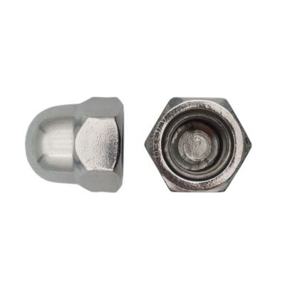25 Ecrous Borgnes M24 mm - DIN 1587 - Inox A4 - D-Work