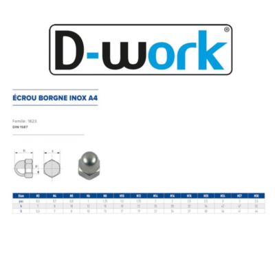 25 Ecrous Borgnes M24 mm - DIN 1587 - Inox A4 - D-Work